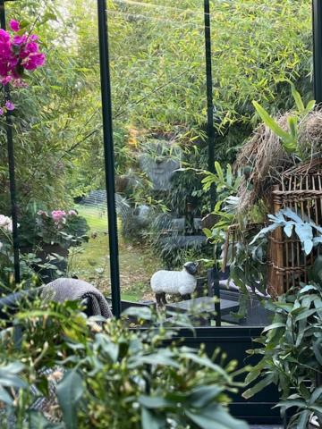 Saint-Aubin-sur-Mer  Chambres D'Hotes & Spa Le Chat Chez Qui J'Habite מראה חיצוני תמונה